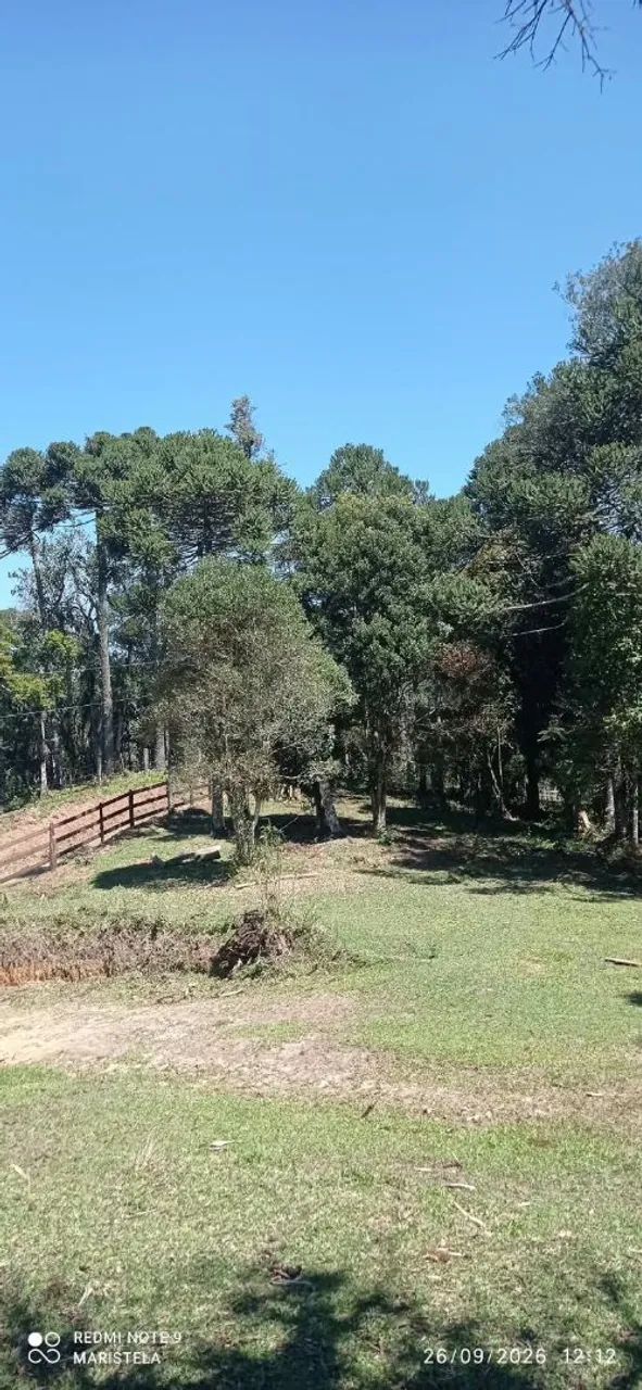 Lindo terreno pra mini chácara  - Foto 2