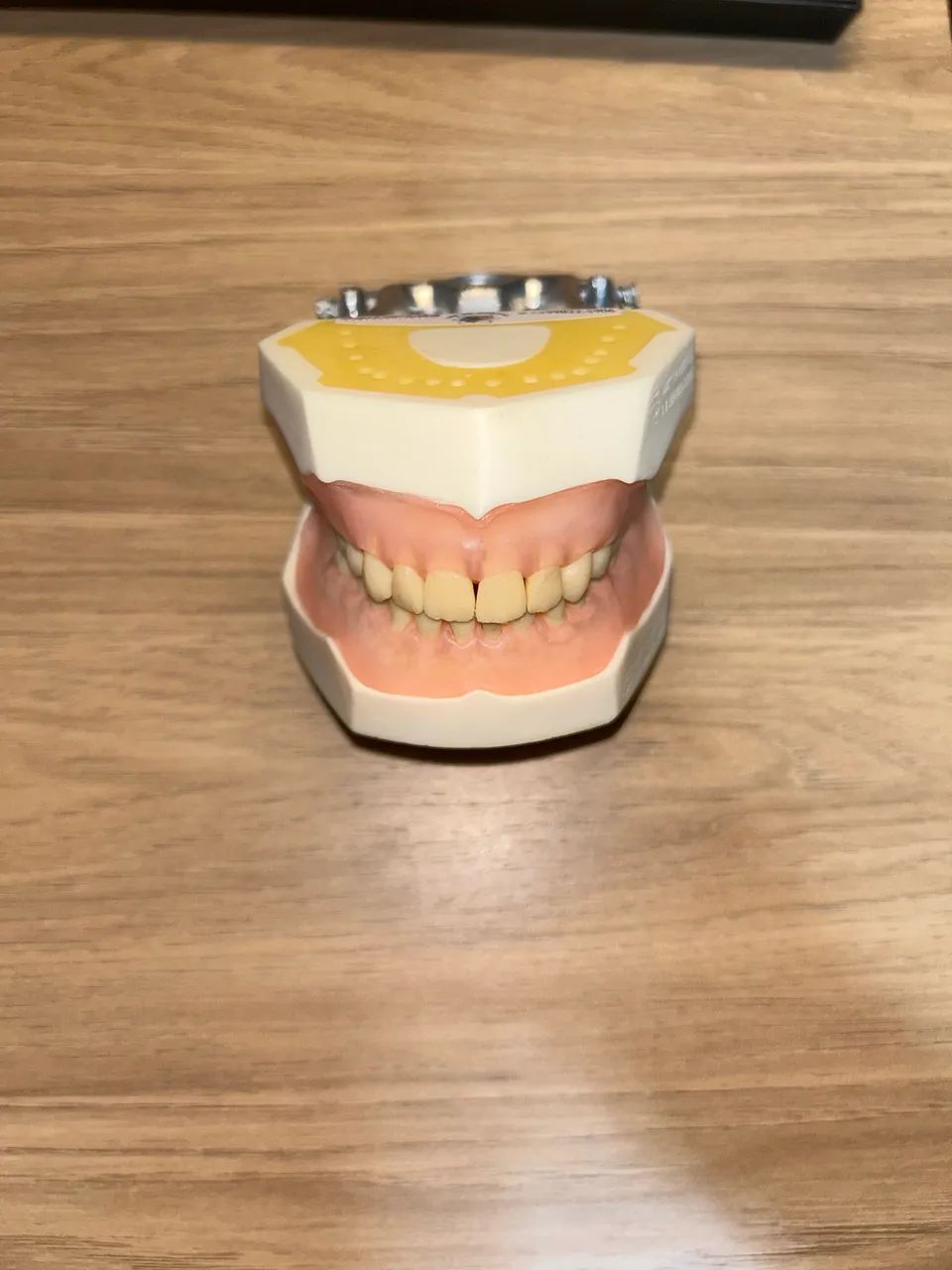 manequim de dentística padrão  - Foto 2