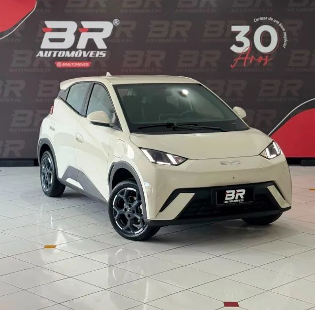 BYD Dolphin Mini (Elétrico) 2027