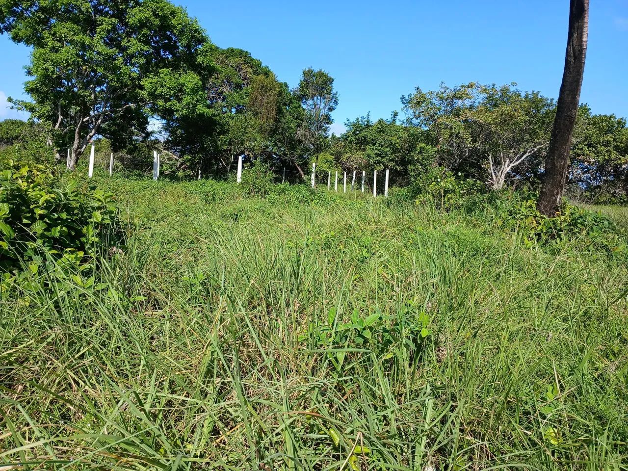 Vende-se ou troca com troco 