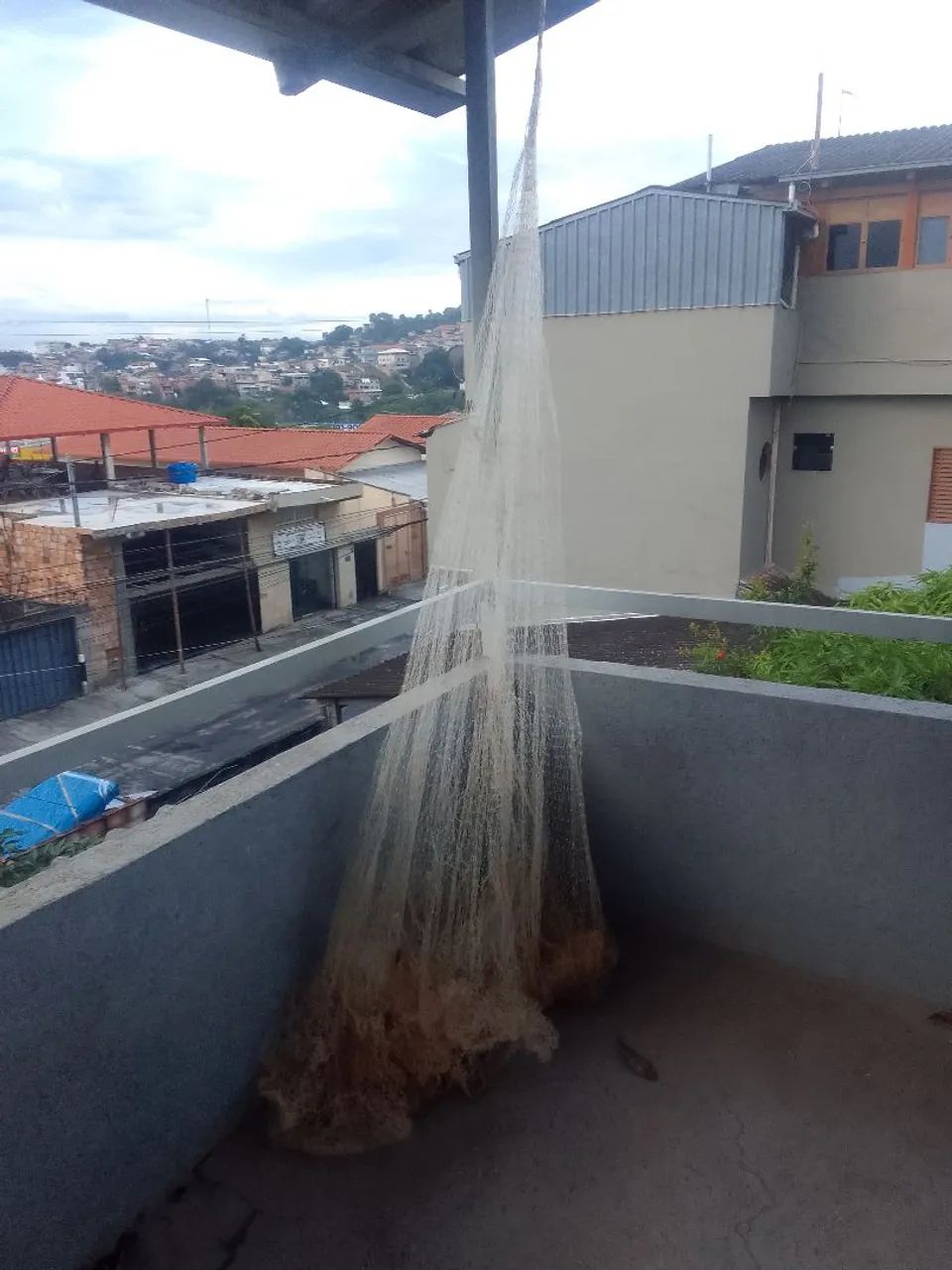 Tarrafa de pesca  - Foto 2