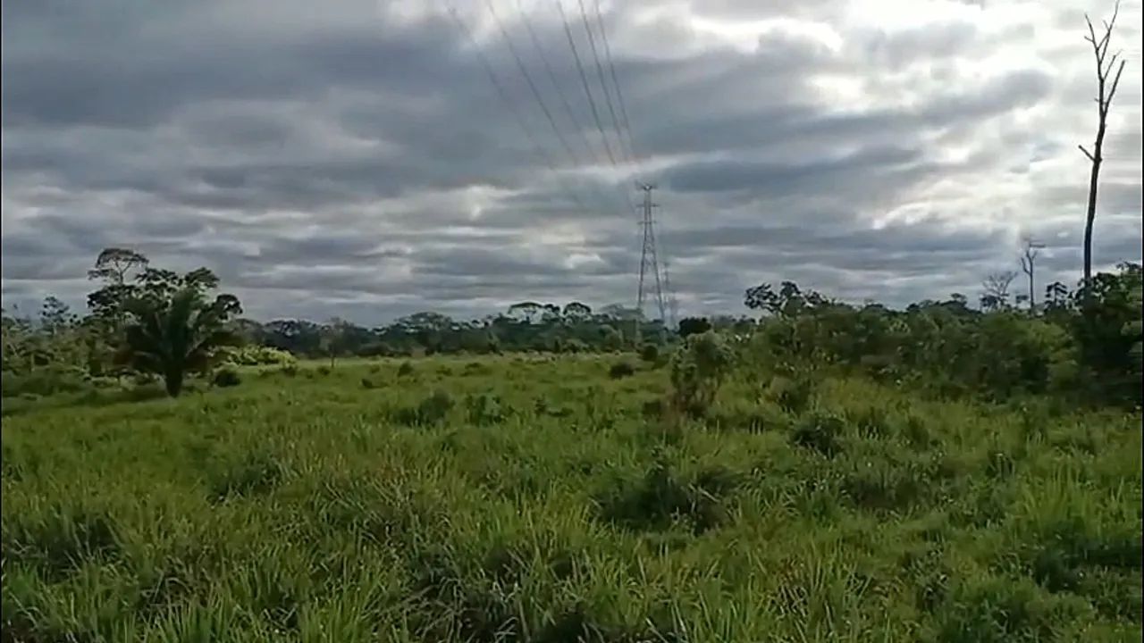 Terra no benfica 50 hectares - Foto 4