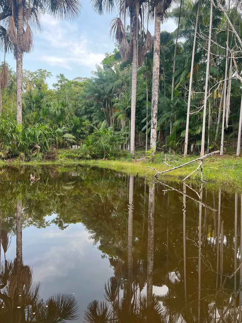 Foto - Manaus - Cidade de Deus