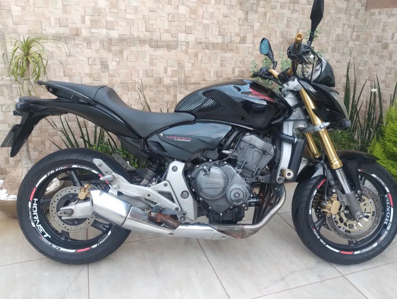 HORNET 600 Ano 2009 - Foto 4