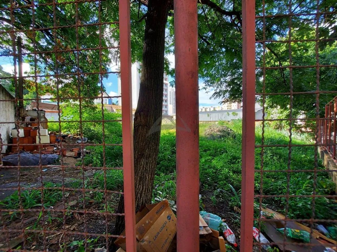Terreno à venda em Campinas, Vila Itapura, com 280 m² - Foto 5