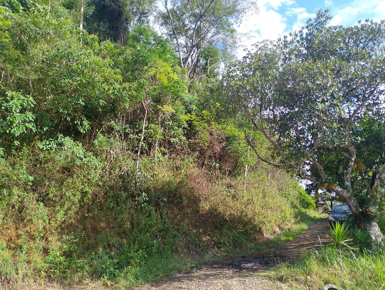 Terreno / chácara em pinheiral - Foto 5