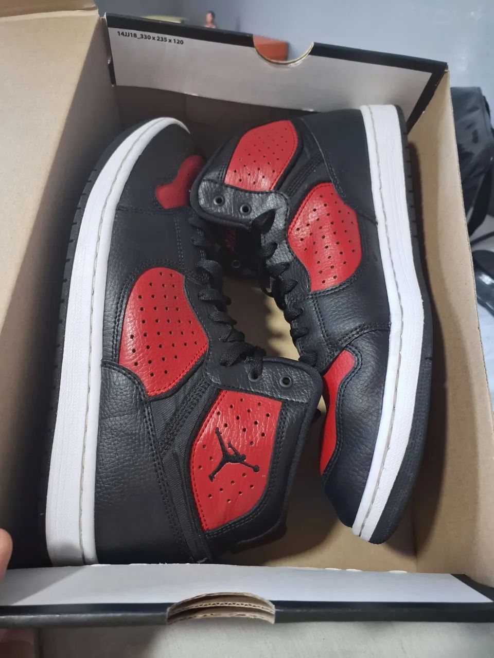 Air Jordan access bred 
