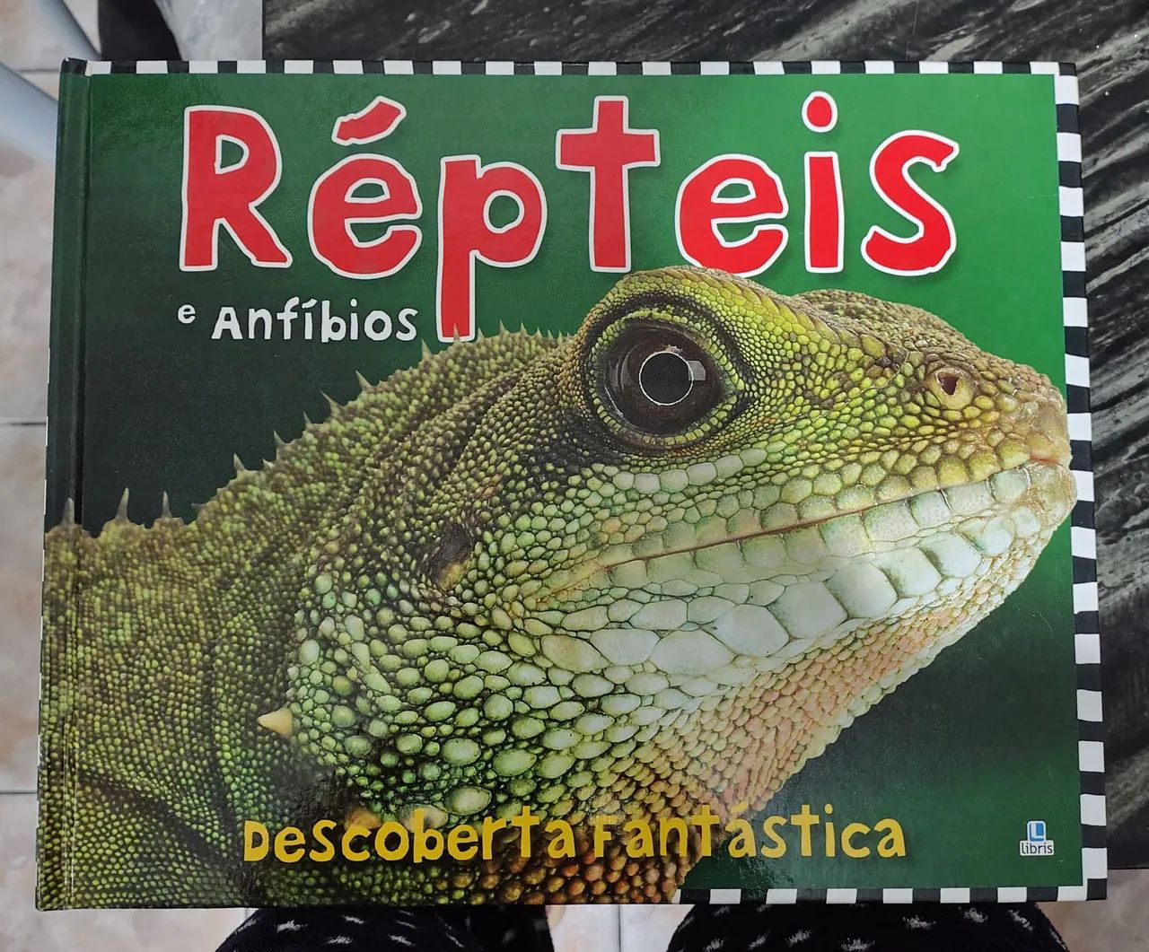 Répteis e Anfíbios 