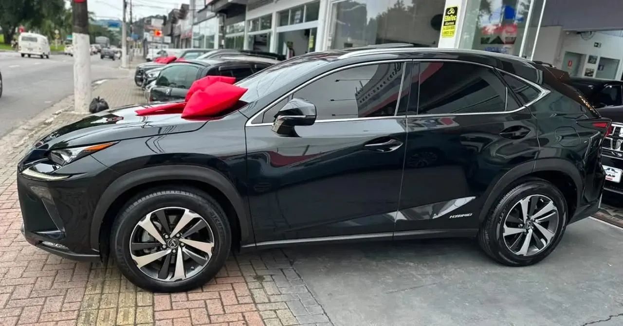 Lexus NX-300 H Luxury 2.5 16V Aut., foto 5 de 15