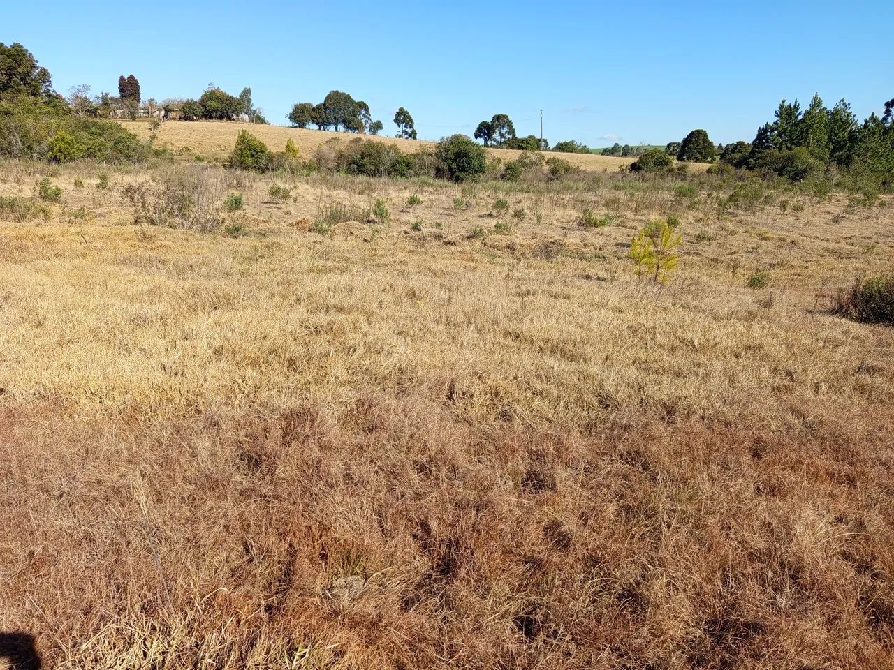 Chácara  - Foto 2