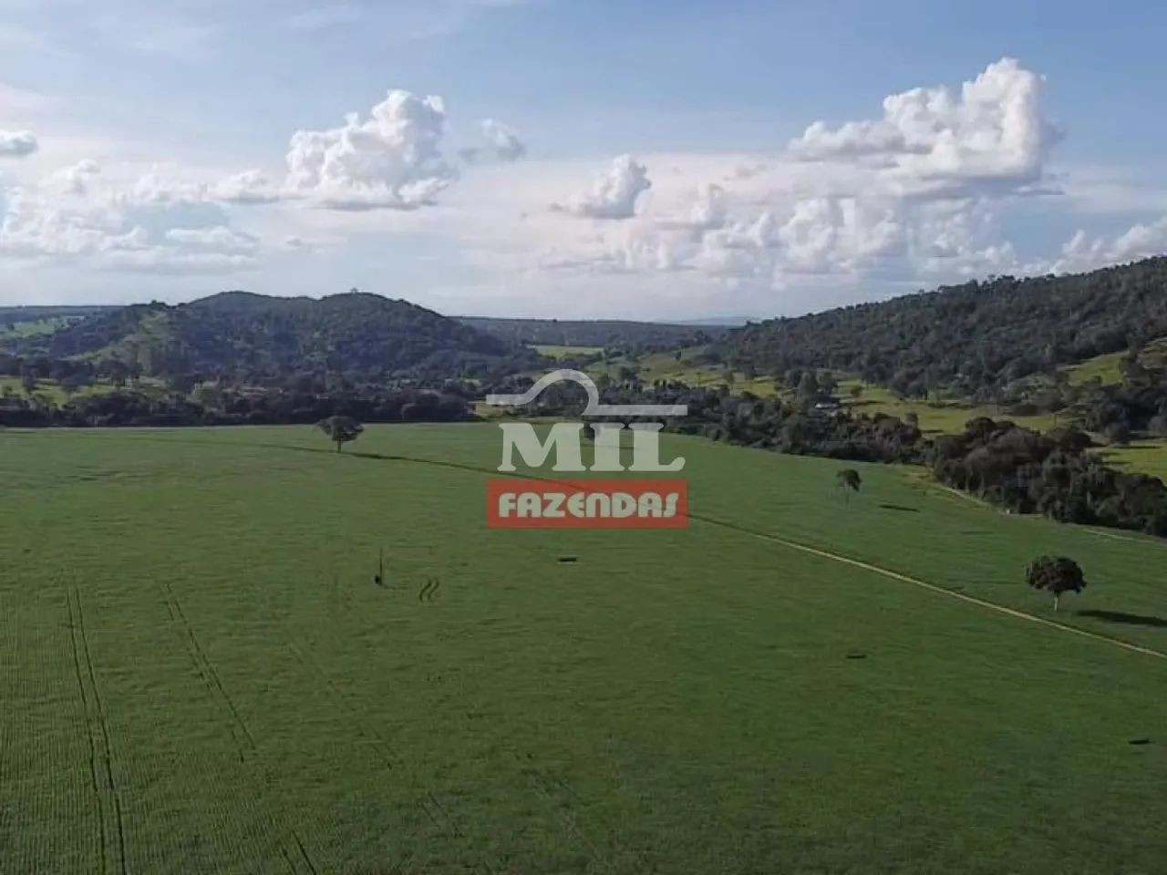 Fazenda a 40 km Anápolis-GO. (70 Alqueires) - Foto 3