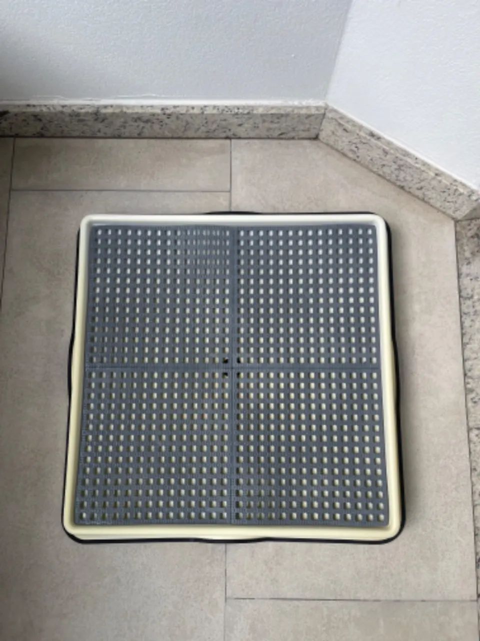 WeasyDog semi novo - Foto 4