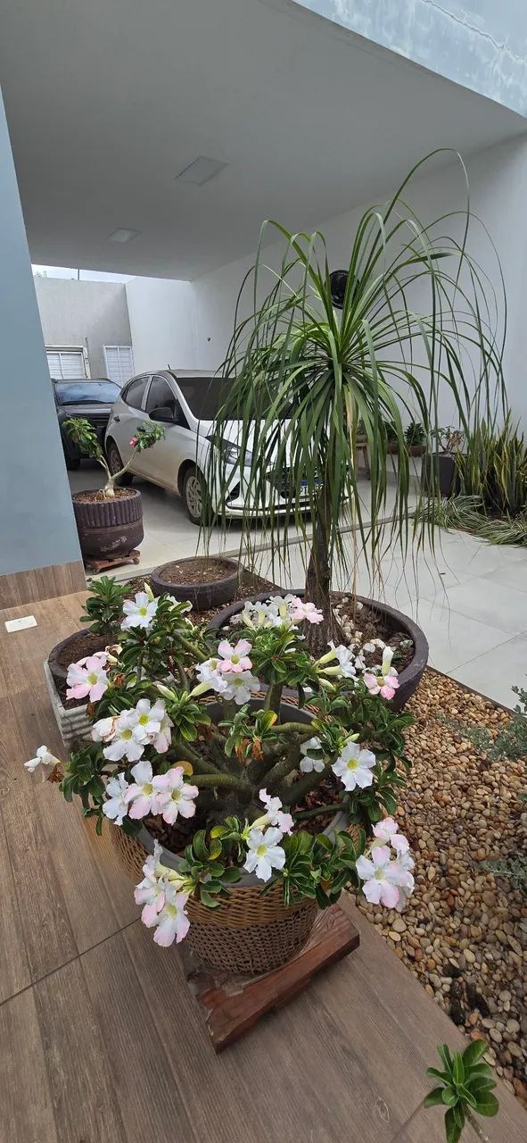 ALUGA- SE CASA MODERNA NO CENTRO DA CIDADE  - Foto 2