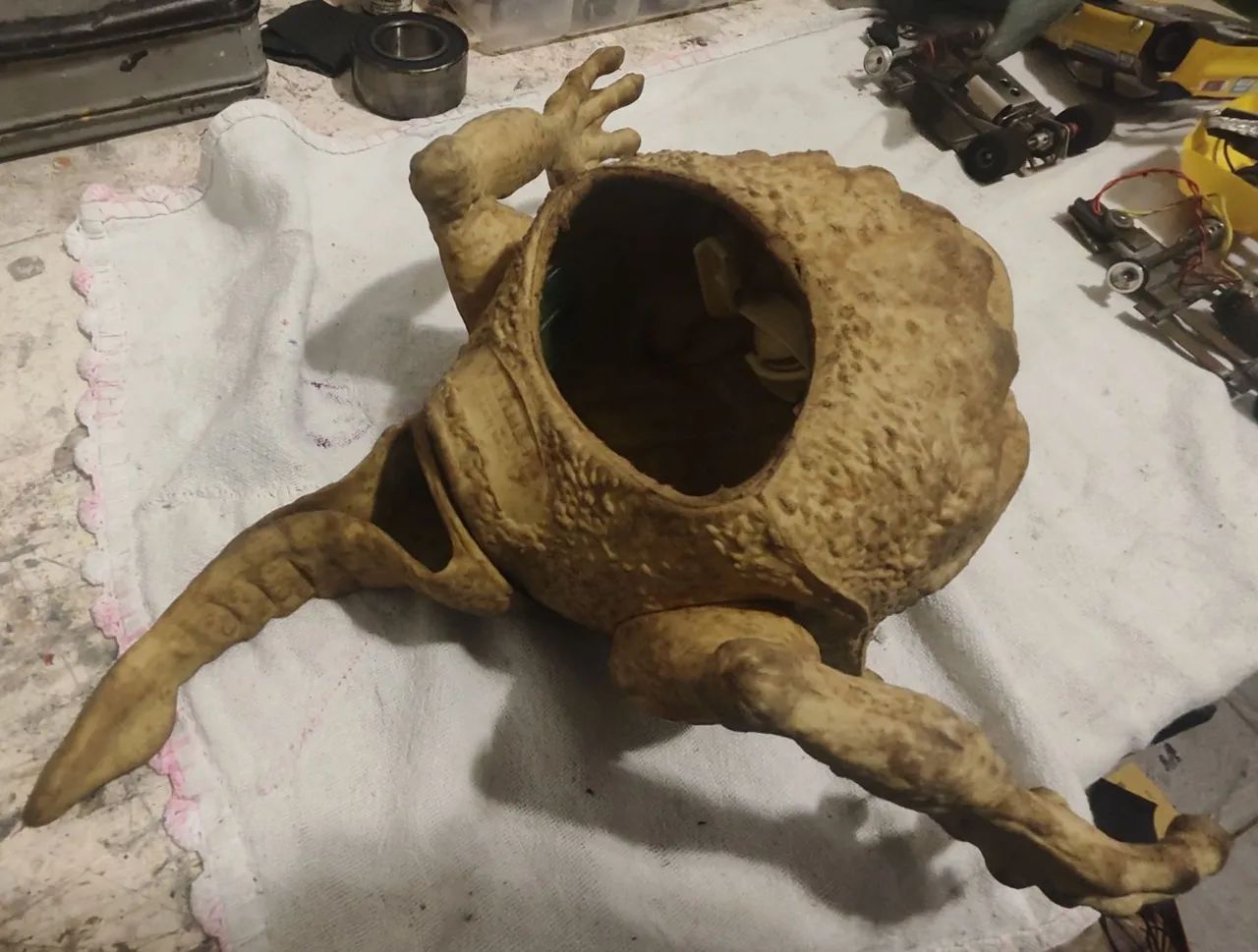 Bogs Estrela  - Foto 4