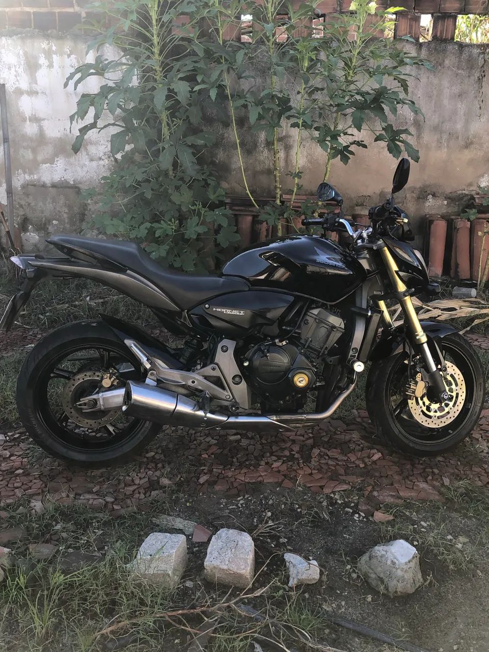 Hornet 600f - Foto 2