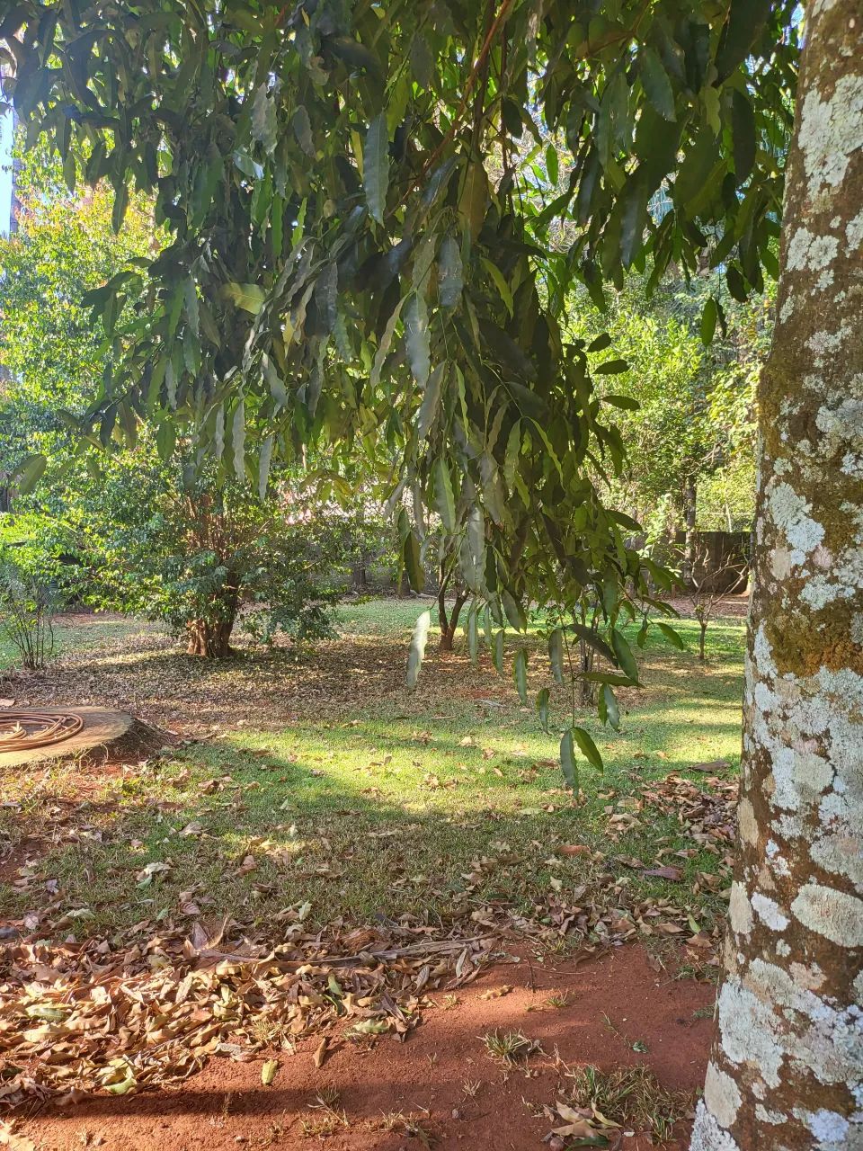 Chacara na saida da GO-070 4.375 m² - Foto 5