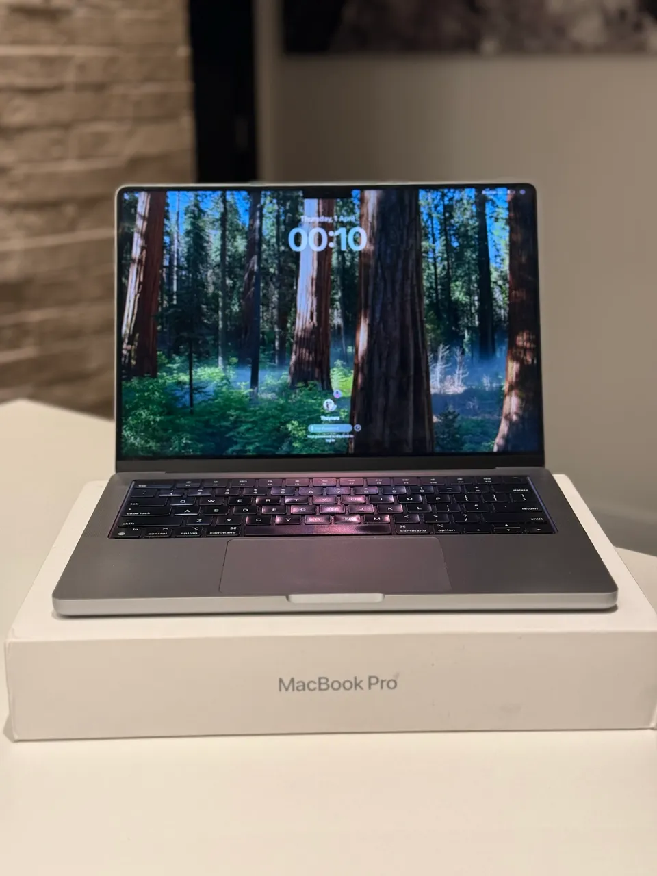 MacBook Pro M1 14 polegadas Prata - 512GB - C/ Cabos e Caixa