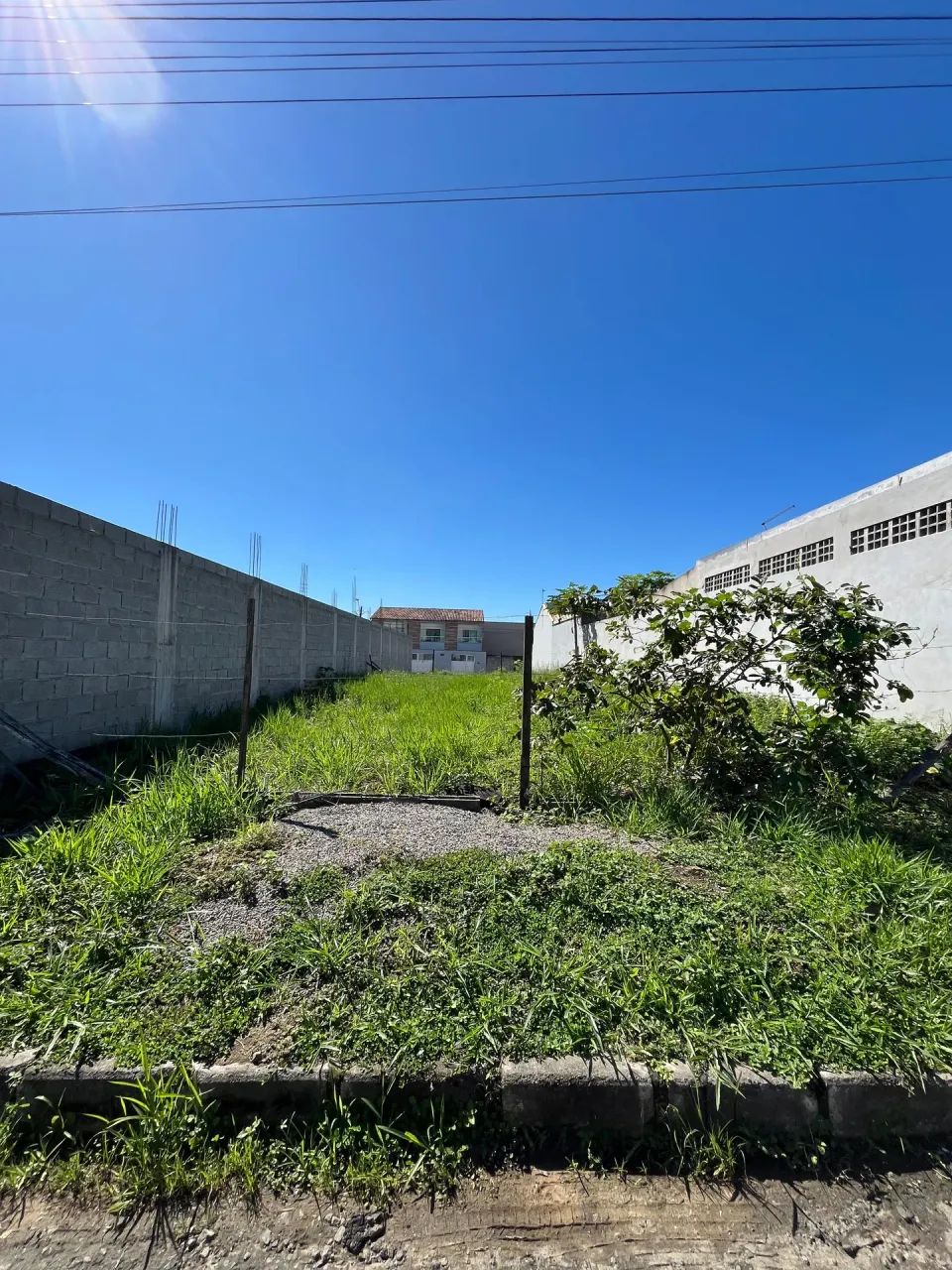 LOTE À VENDA NO SOLAR DO PORTO  SERRA - Foto 5