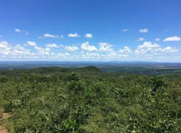 Fazenda Bebedouro | Baliza/GO - 387,20 ha - Foto 4