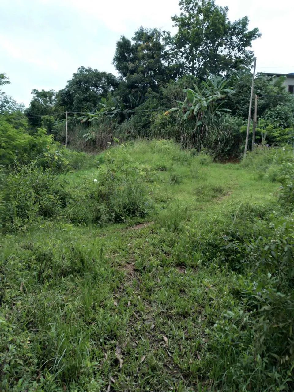 Terreno subida de braçana - Foto 3