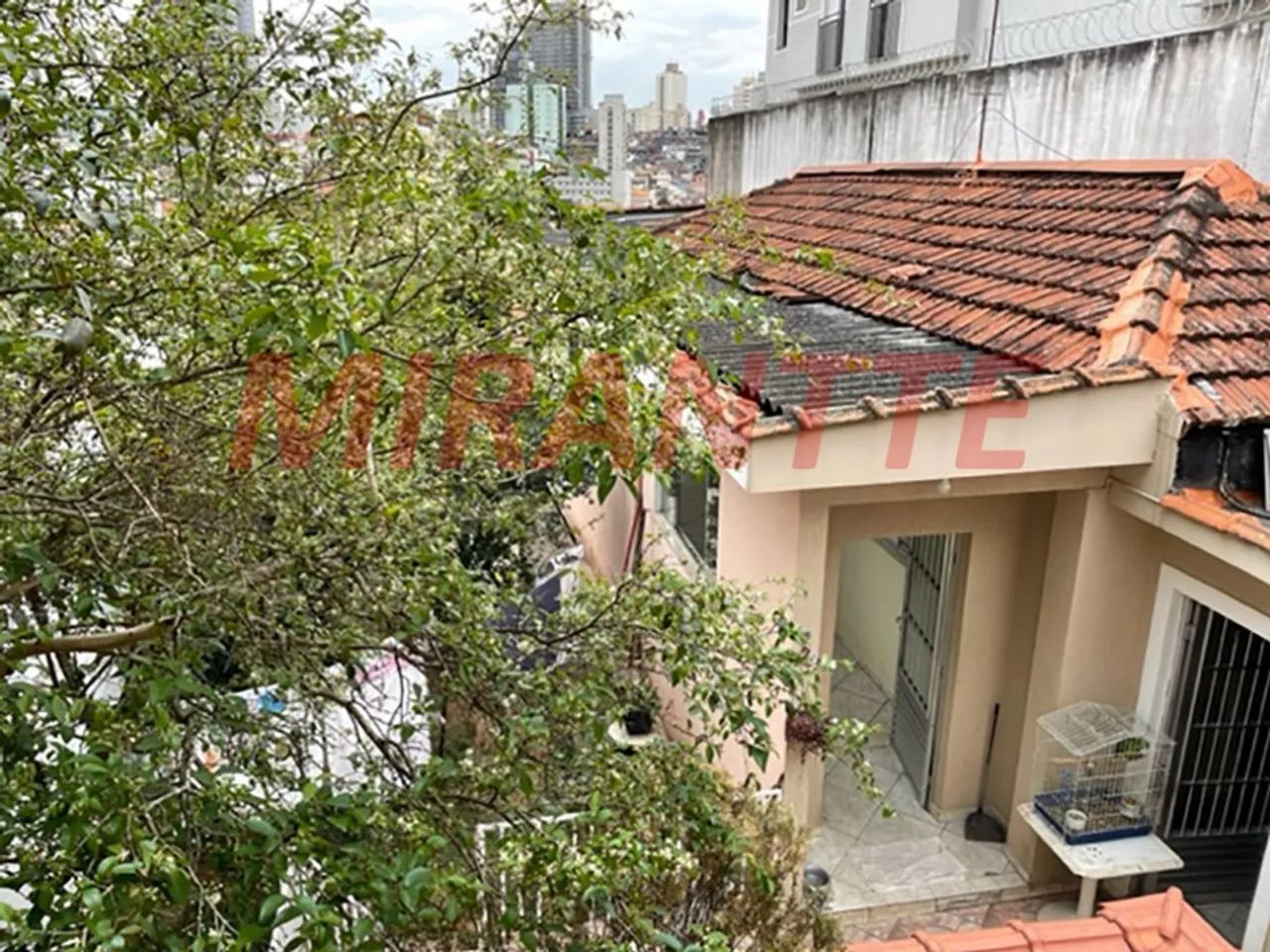 Terreno de 262m² em Parada Inglesa - Foto 4