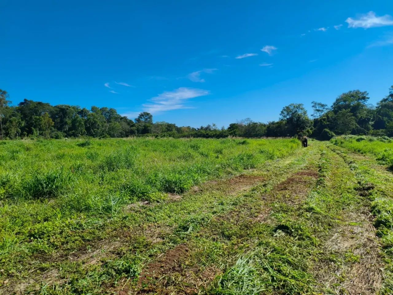 Chácara à Venda de 22.000m² em Nerópolis - Foto 2