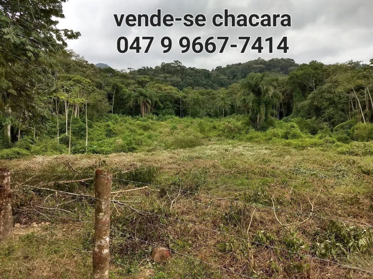 Alugo kitinete e vendo chácara  - Foto 3