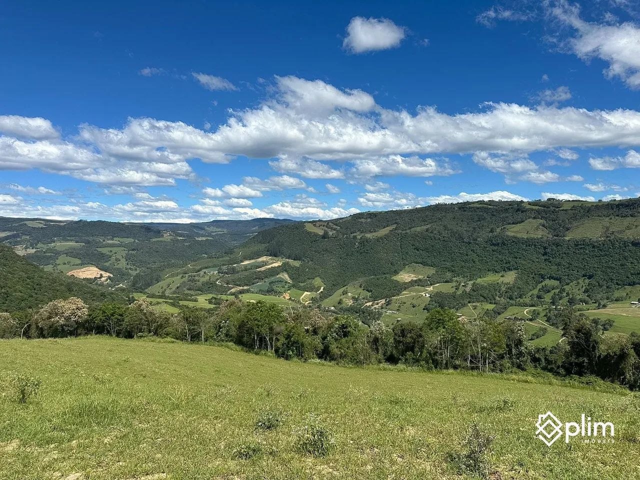 Sítio de 22 Hectares em Alfredo Wagner  SC - Foto 5