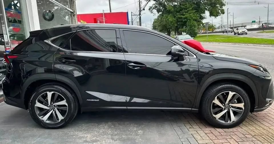Lexus NX-300 H Luxury 2.5 16V Aut., foto 4 de 15
