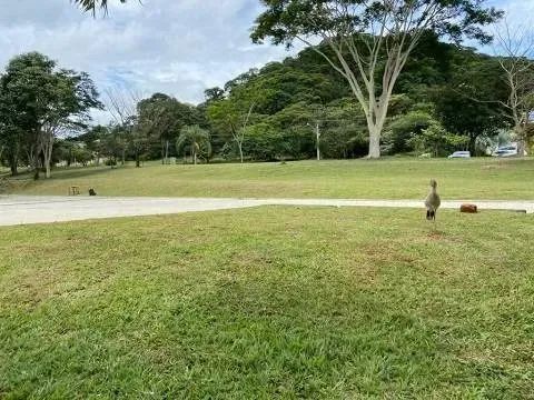 Lote à venda localiza no Residencial Aldeia do Vale - Foto 10