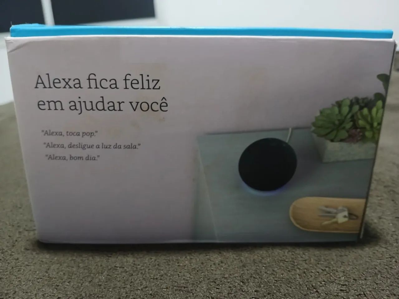  Alexa - Foto 2