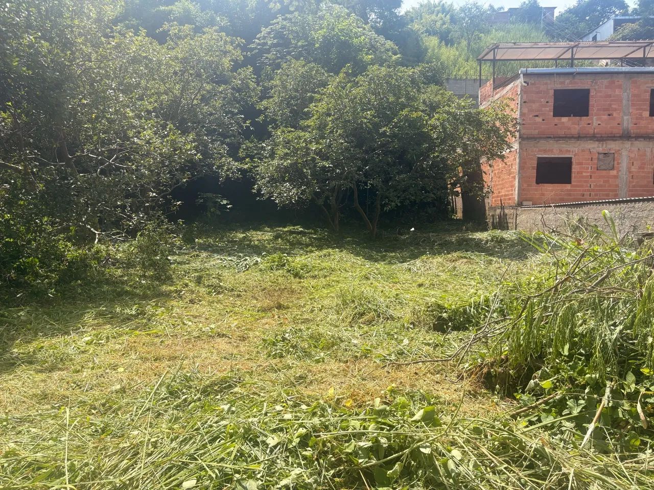 Ótima oportunidade! Terreno no Ano Bom - Foto 4