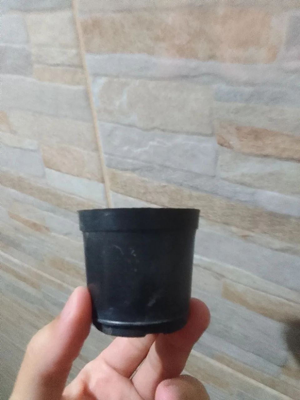 Vasinhos.  - Foto 2