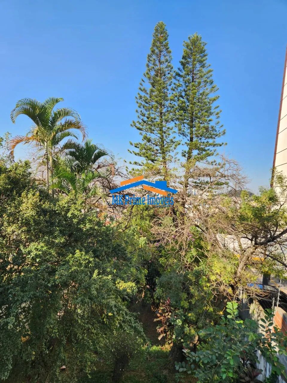 Sobrado de 4 Dormitórios sendo 4 Suítes Terreno de 500 mt² Pestana/ Osasco - Foto 5