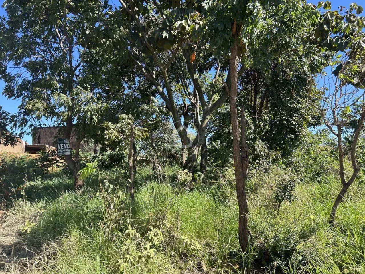 TERRENO PRÓXIMO DO ASFALTO - Foto 3