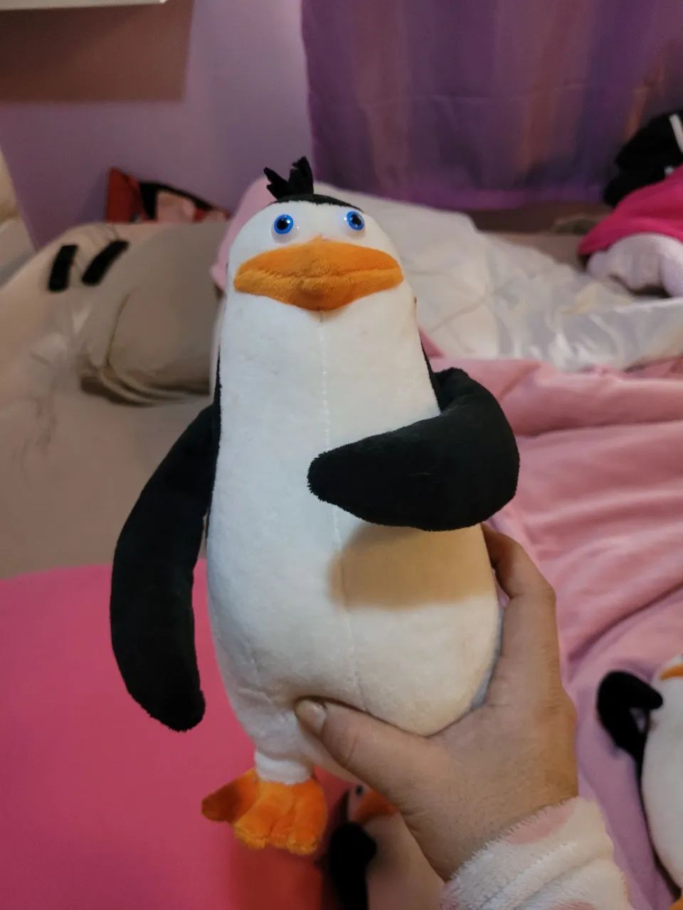 Pinguins Magadascar - Foto 4