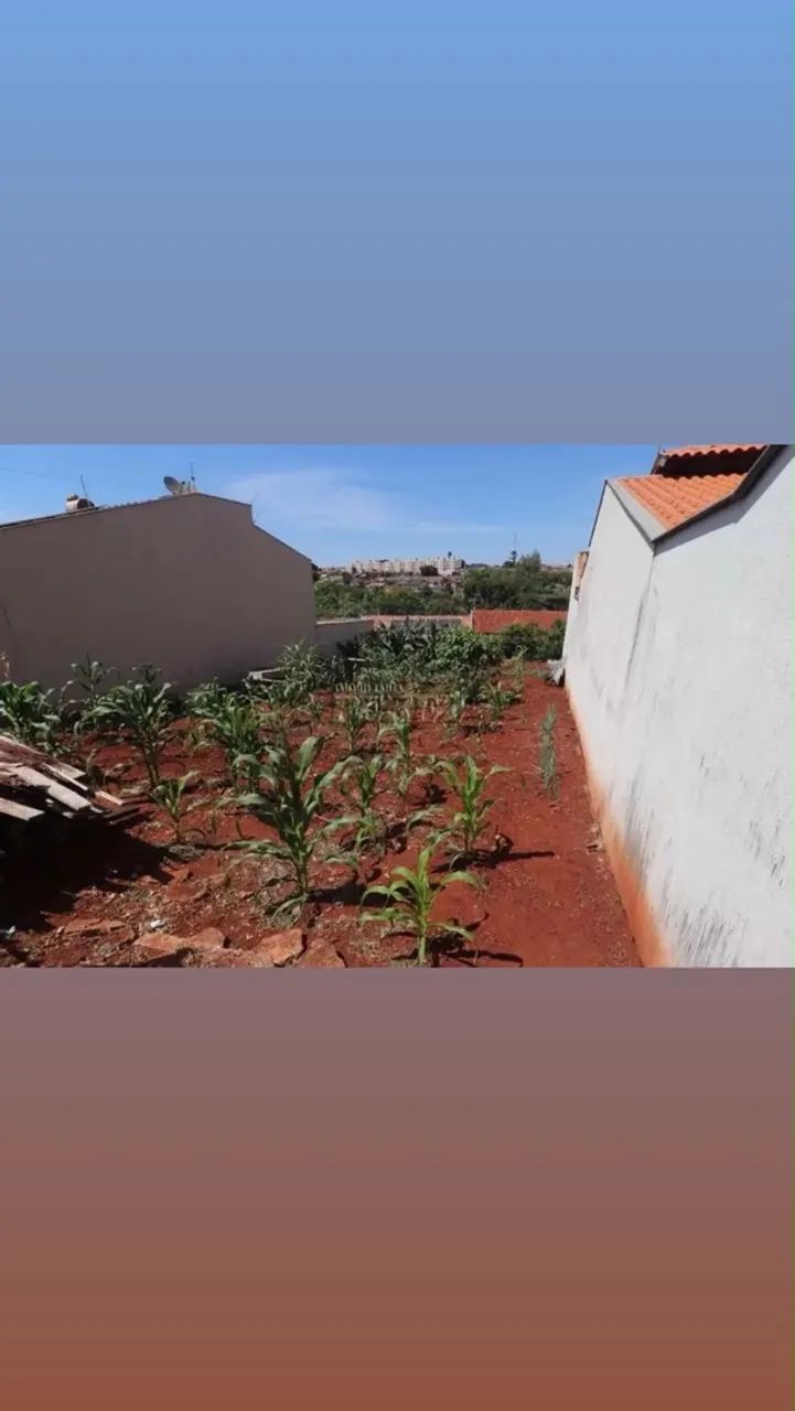 Terreno  - Foto 3