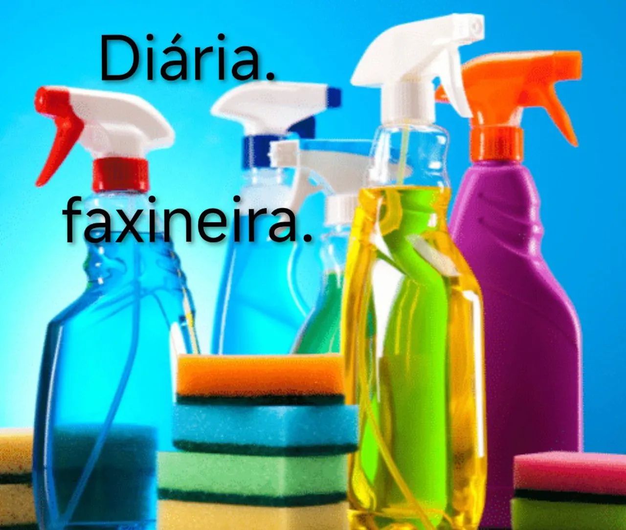 Diarista e faxineira.