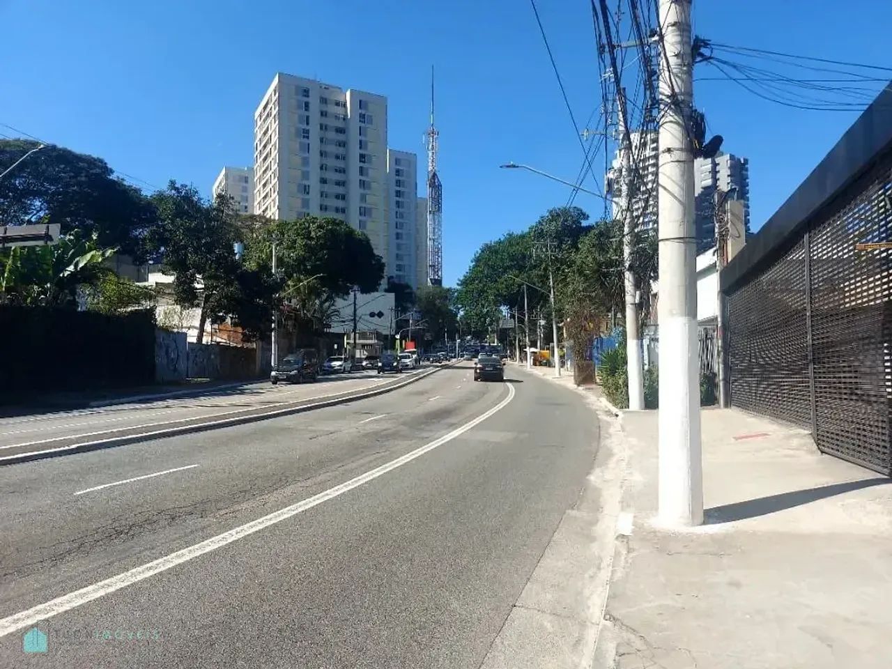 PERDIZES MARAVILHOSA!! - Foto 2