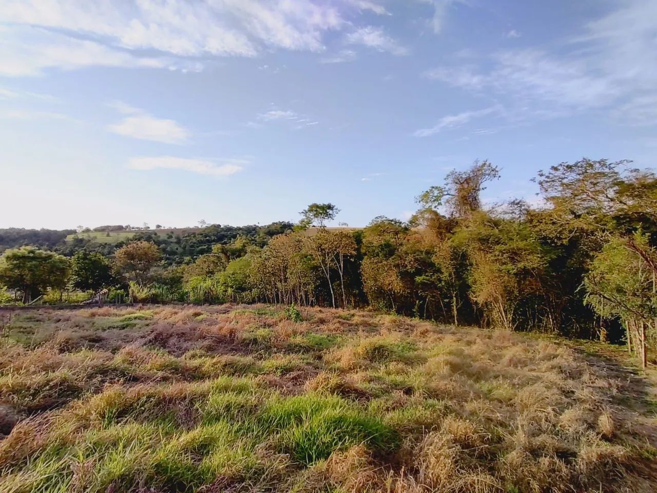 OPORTUNIDADE! TERRENO PARA CHÁCARA - 4.000 m² - Foto 3