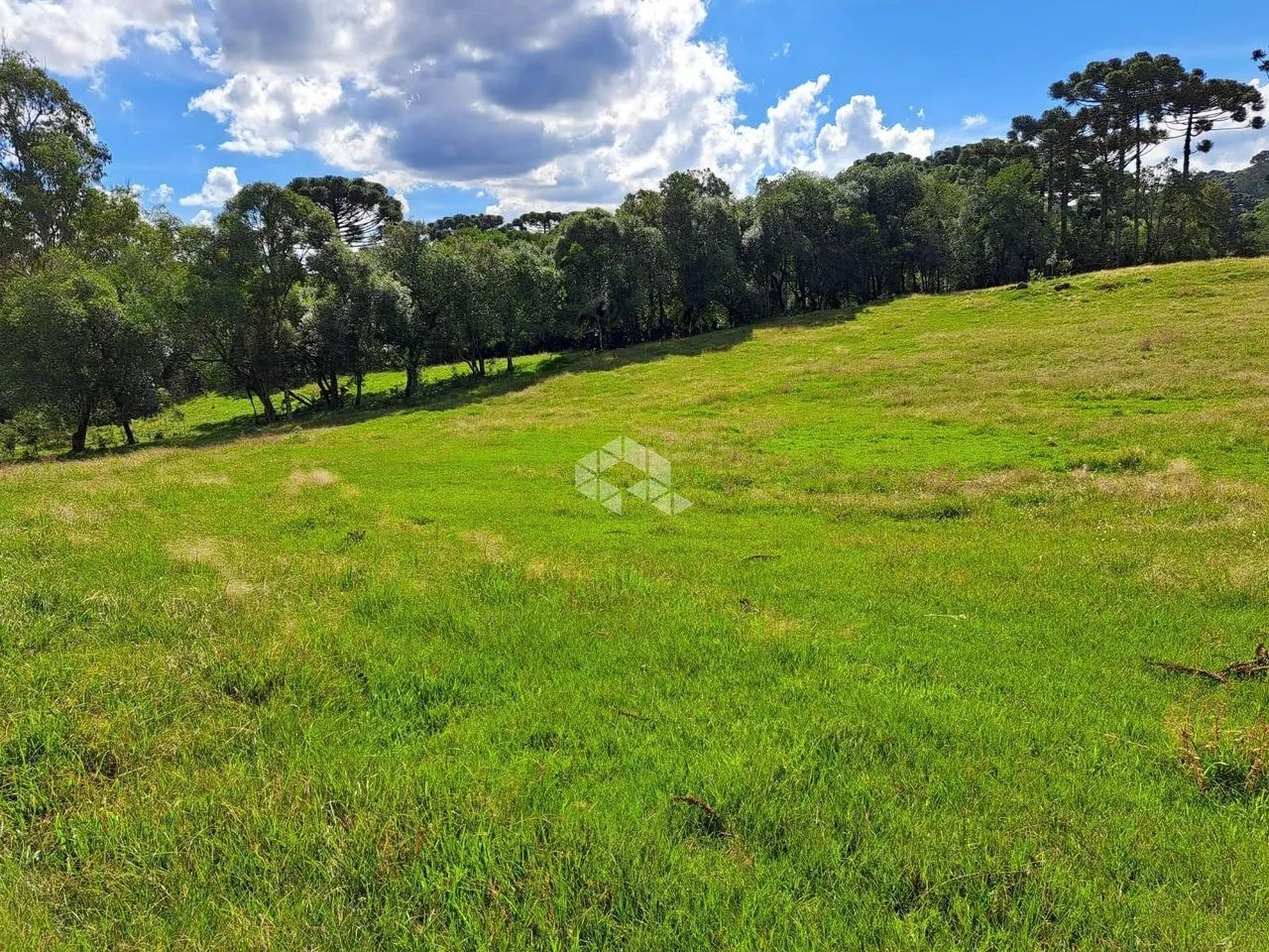 Chácara na Linha Vicentina - Foto 2