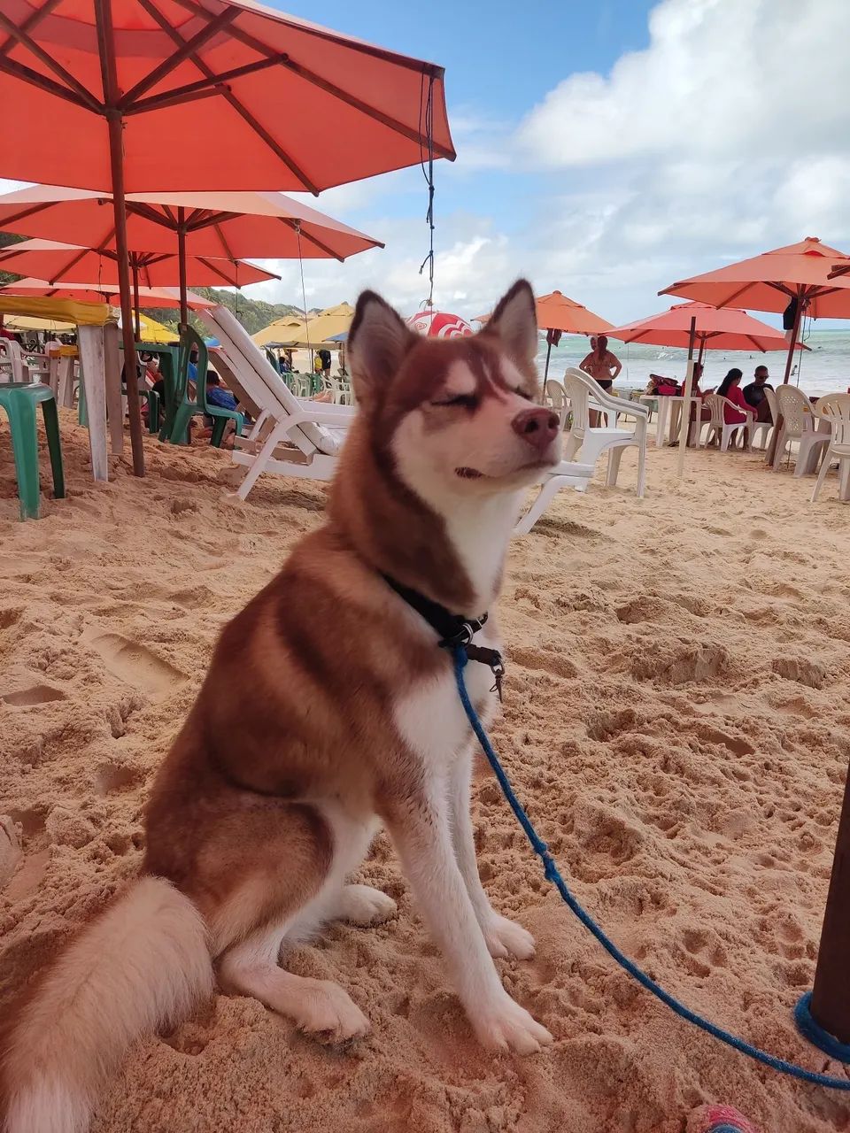 Procuro namorada  - Foto 2