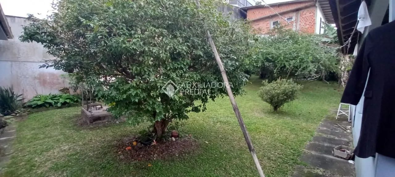 Casa térrea em terreno com 797,94m2 - João Paulo - Florianópolis/SC - Foto 4