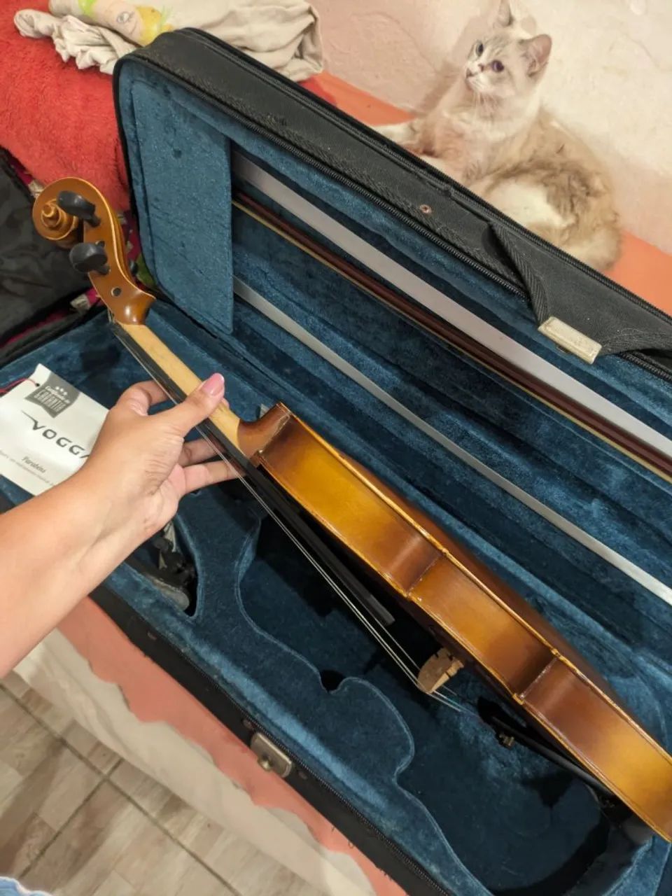 Violino Vogga - Foto 4