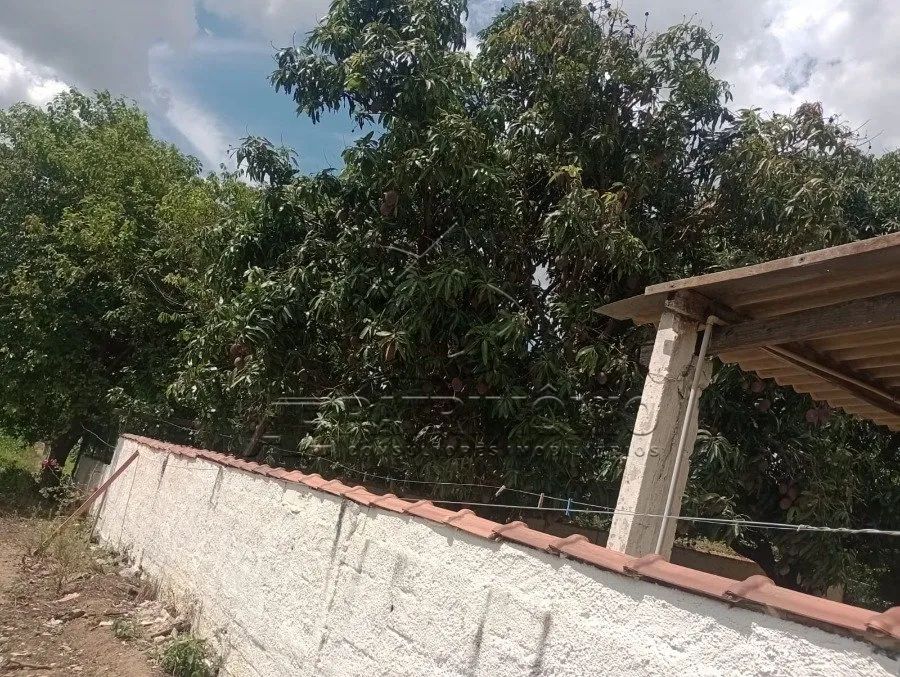 Chácara à venda - espaço, natureza e tranquilidade! - Foto 3