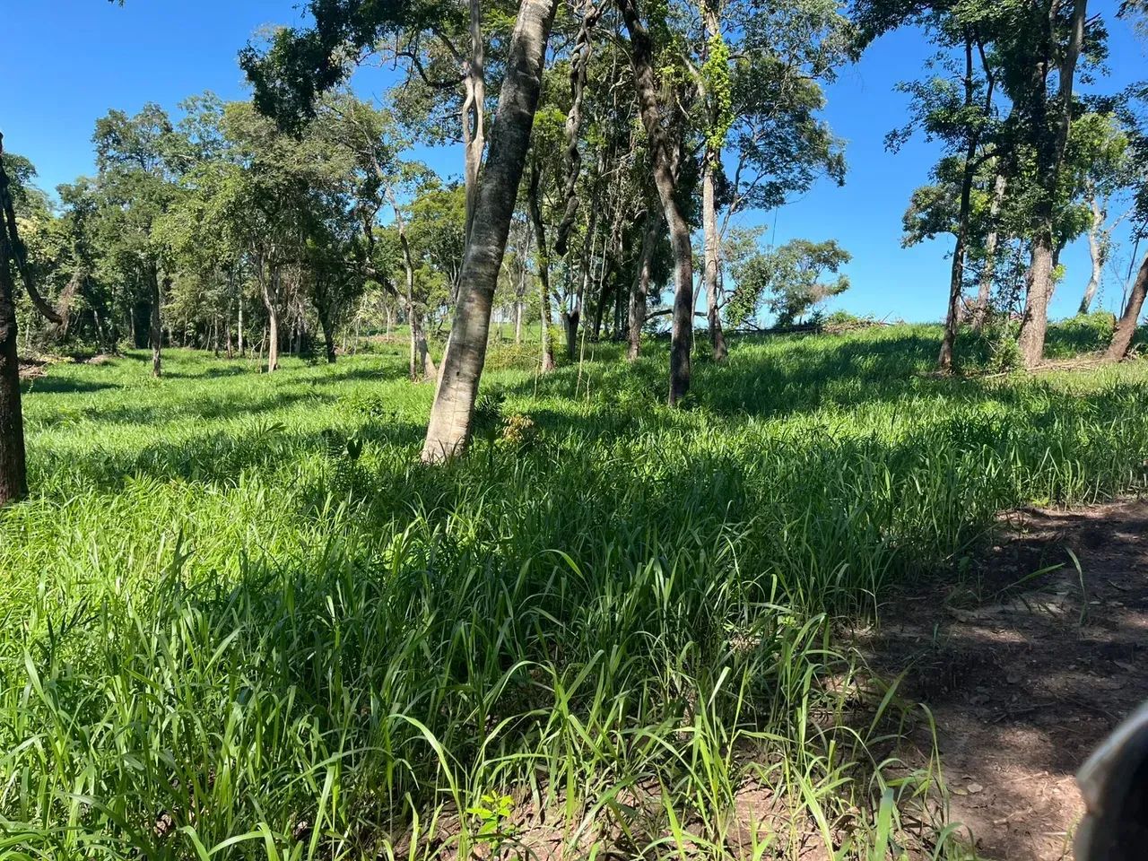 COD.580 - Fazenda 475 hectares Anastácio | MS - Foto 5