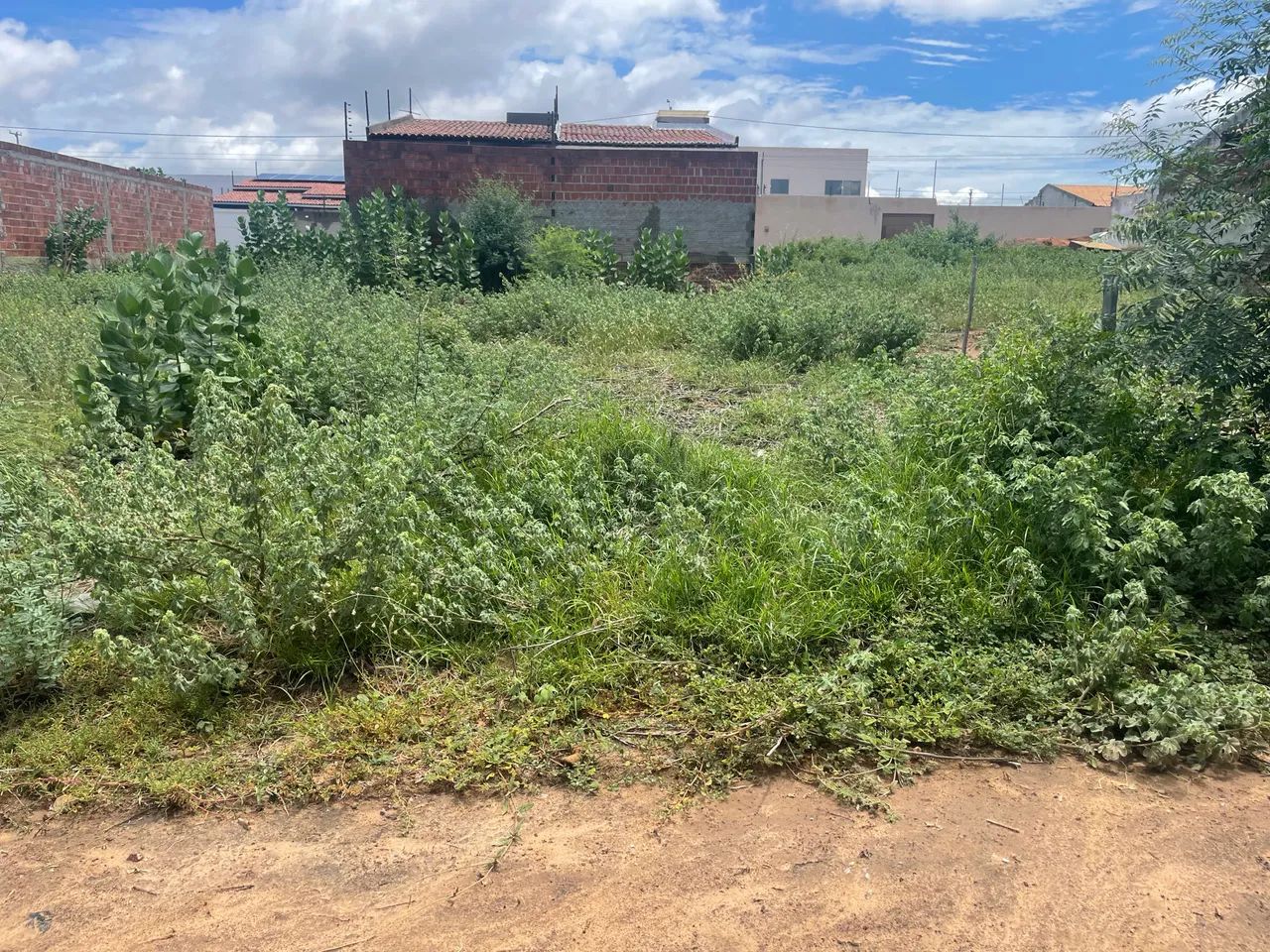 Foto - Petrolina - Vila Eduardo