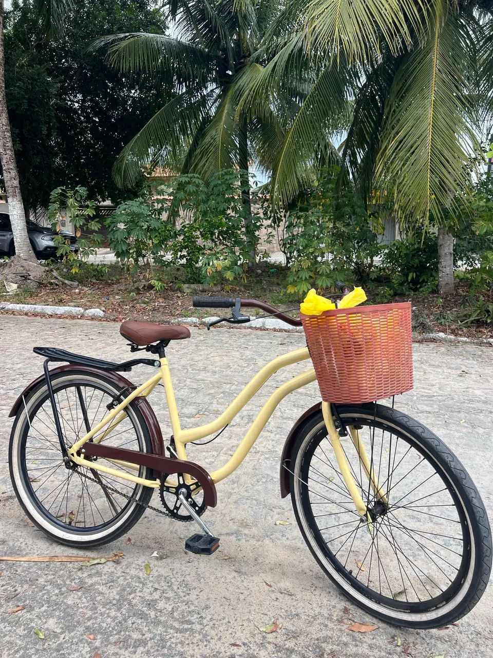 Bicicleta Retrô - Foto 3