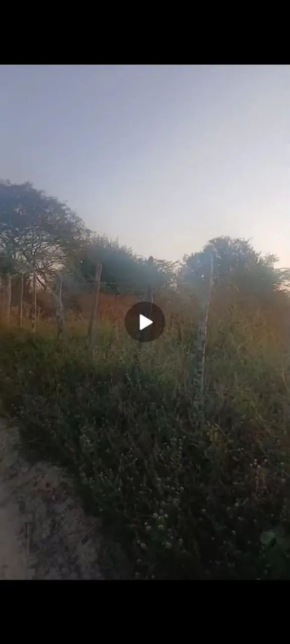 Vendo terreno no sítio maracajá 