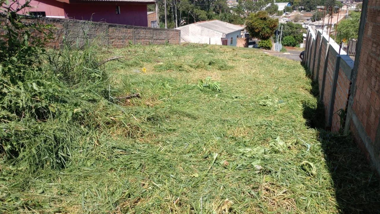 Terreno, lote 